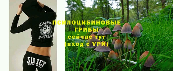 гидра Алексин